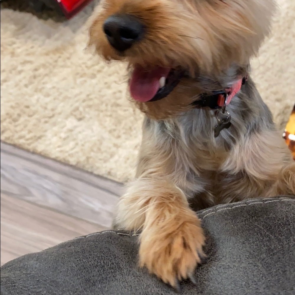 Meet your Posher, Kara